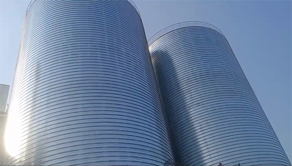 丹阳2座混凝土高架卷板仓